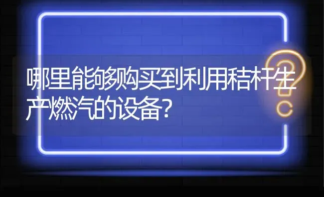 哪里能够购买到利用秸杆生产燃汽的设备? | 养殖问题解答