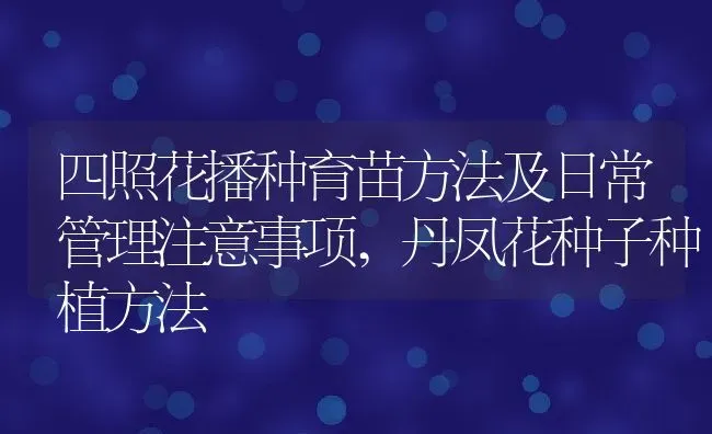 四照花播种育苗方法及日常管理注意事项,丹凤花种子种植方法 | 养殖常见问题