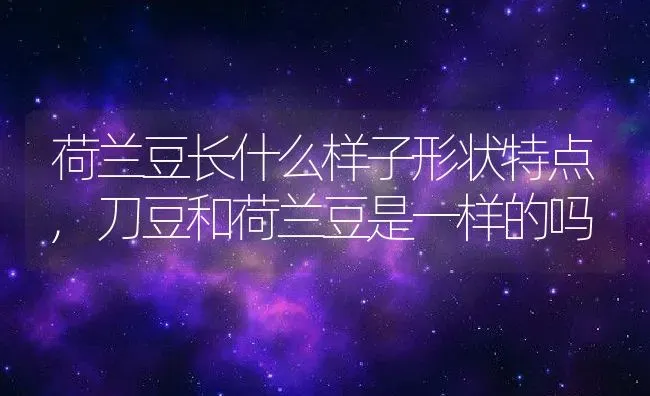 鬼见愁是什么植物类别,鬼针草起什么作用 | 养殖常见问题