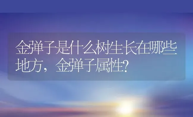 金弹子是什么树生长在哪些地方,金弹子属性？ | 养殖常见问题