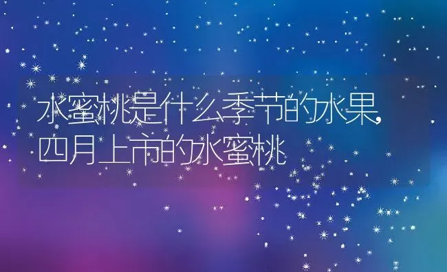 水蜜桃是什么季节的水果,四月上市的水蜜桃 | 养殖常见问题