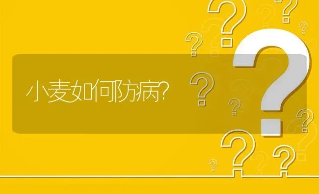 小麦如何防病? | 养殖问题解答
