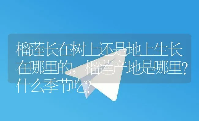 榴莲长在树上还是地上生长在哪里的,榴莲产地是哪里?什么季节吃？ | 养殖常见问题