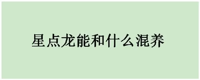 星点龙能和什么混养 | 农业答疑