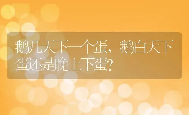 鹅几天下一个蛋,鹅白天下蛋还是晚上下蛋？ | 养殖常见问题