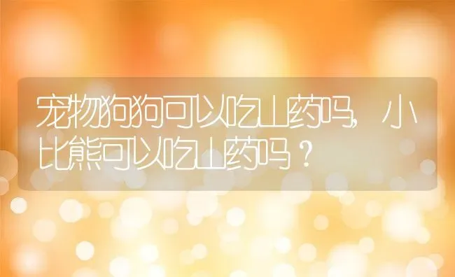宠物狗狗可以吃山药吗,小比熊可以吃山药吗？ | 养殖常见问题
