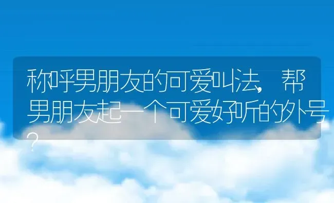 玛格丽特开花时间,玛格丽特花期是什么时候？ | 养殖常见问题