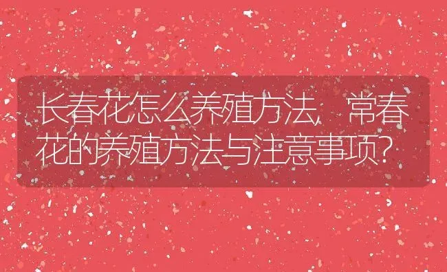 长春花怎么养殖方法,常春花的养殖方法与注意事项？ | 养殖常见问题