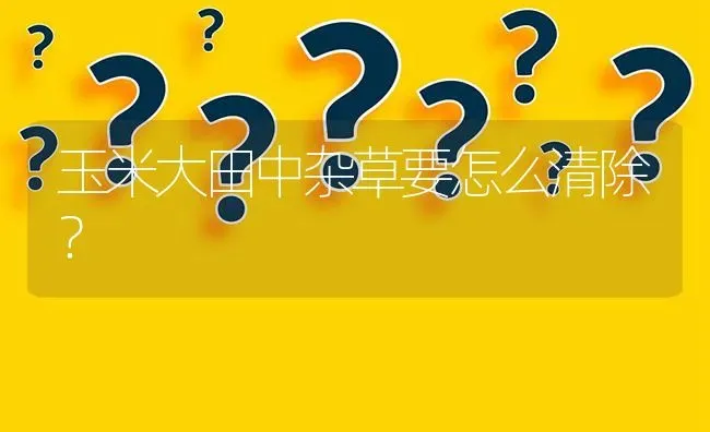 玉米大田中杂草要怎么清除? | 养殖问题解答