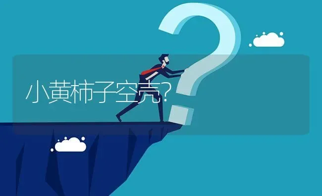 小黄柿子空壳? | 养殖问题解答