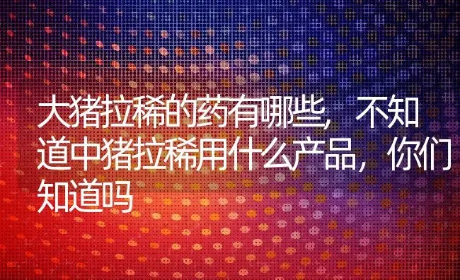 大猪拉稀的药有哪些,不知道中猪拉稀用什么产品，你们知道吗 | 养殖常见问题