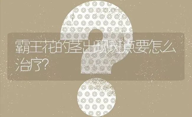 霸王花的茎出现斑点要怎么治疗? | 养殖问题解答