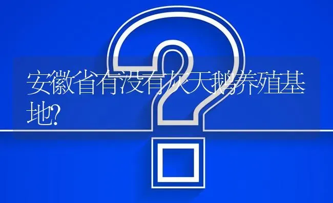 安徽省有没有灰天鹅养殖基地? | 养殖问题解答