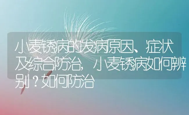 小麦锈病的发病原因、症状及综合防治,小麦锈病如何辨别？如何防治 | 养殖常见问题