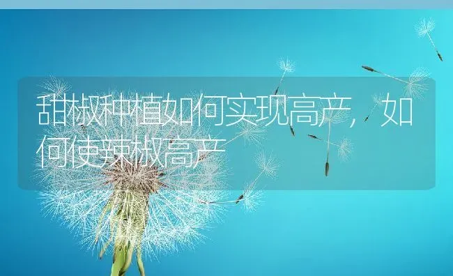 甜椒种植如何实现高产,如何使辣椒高产 | 养殖常见问题