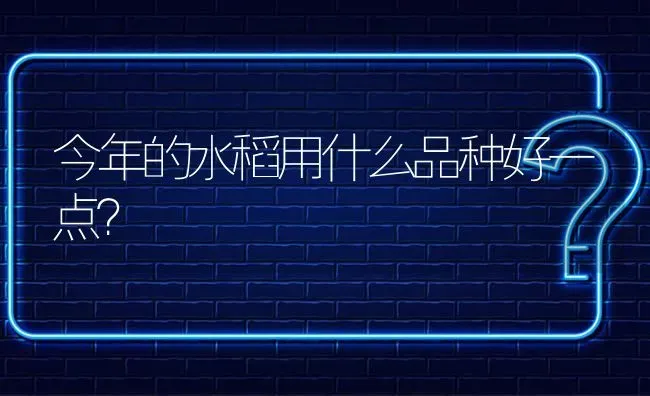 今年的水稻用什么品种好一点? | 养殖问题解答