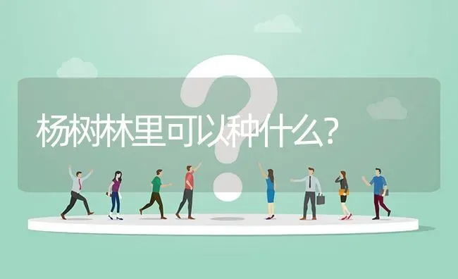 杨树林里可以种什么? | 养殖问题解答