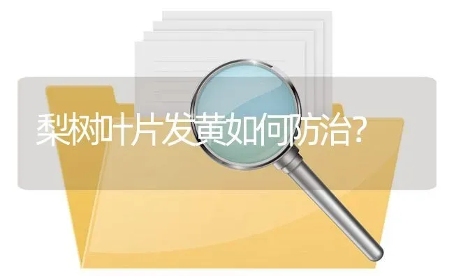 梨树叶片发黄如何防治? | 养殖问题解答