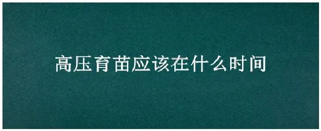 高压育苗应该在什么时间 | 科普知识