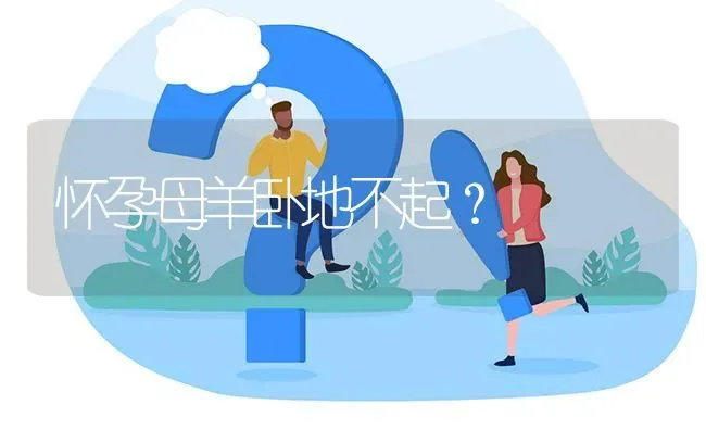 怀孕母羊卧地不起? | 养殖问题解答