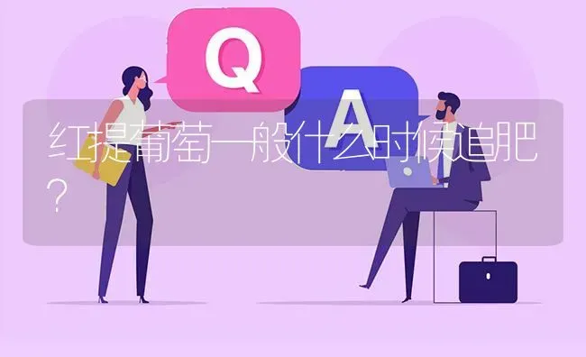 红提葡萄一般什么时候追肥? | 养殖问题解答