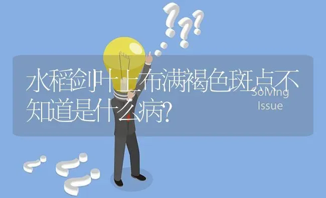 水稻剑叶上布满褐色斑点不知道是什么病? | 养殖问题解答