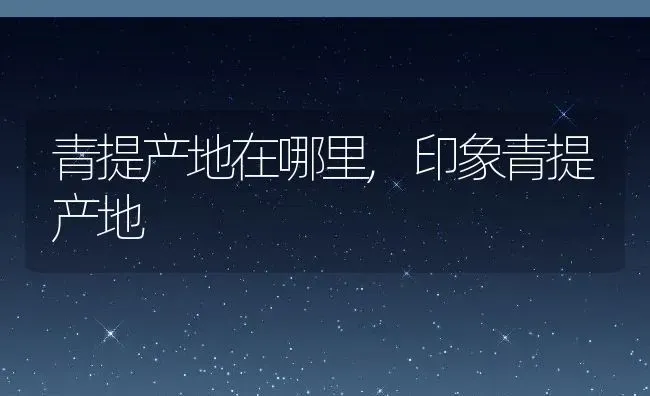 冰露怎么养长的好,冰露叶子烂掉是浇多水还是没浇水？ | 养殖常见问题