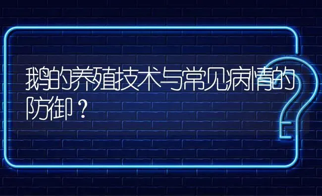 鹅的养殖技术与常见病情的防御? | 养殖问题解答