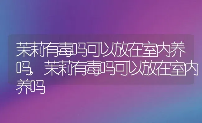 茉莉有毒吗可以放在室内养吗,茉莉有毒吗可以放在室内养吗 | 养殖常见问题