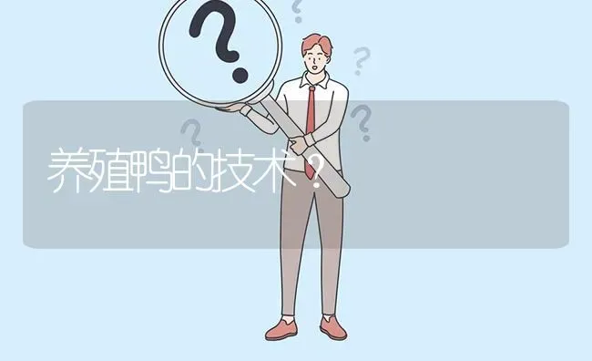 养殖鸭的技术? | 养殖问题解答