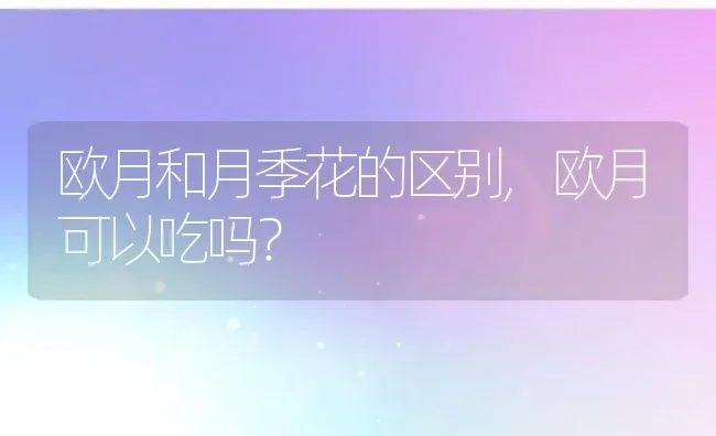 欧月和月季花的区别,欧月可以吃吗？ | 养殖常见问题