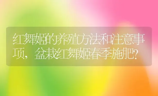 红舞姬的养殖方法和注意事项,盆栽红舞姬春季施肥？ | 养殖常见问题