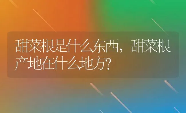 甜菜根是什么东西,甜菜根产地在什么地方？ | 养殖常见问题