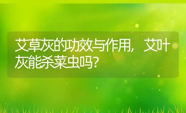 艾草灰的功效与作用,艾叶灰能杀菜虫吗？ | 养殖常见问题