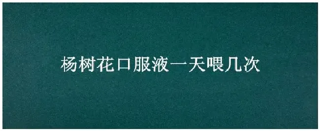 杨树花口服液一天喂几次 | 科普知识