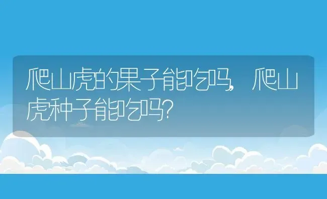 爬山虎的果子能吃吗,爬山虎种子能吃吗？ | 养殖常见问题