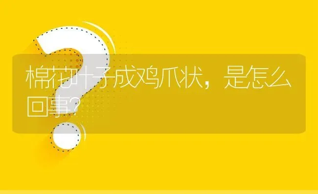 棉花叶子成鸡爪状,是怎么回事? | 养殖问题解答