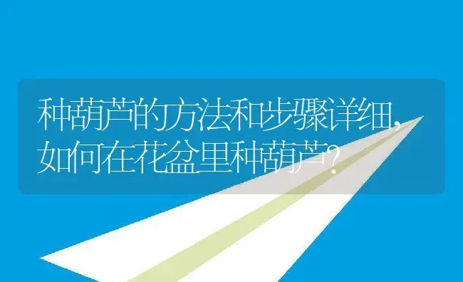 种葫芦的方法和步骤详细,如何在花盆里种葫芦？ | 养殖常见问题