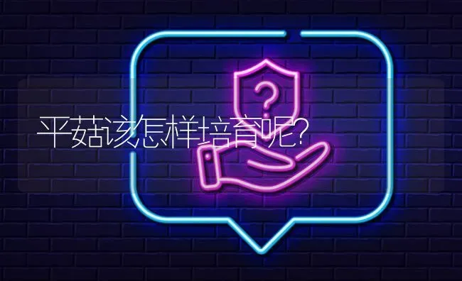 平菇该怎样培育呢? | 养殖问题解答