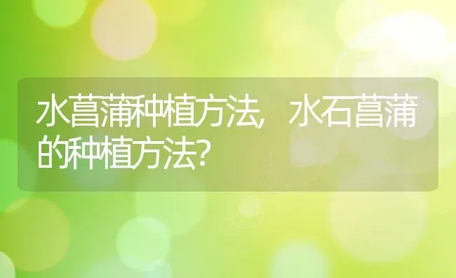 水菖蒲种植方法,水石菖蒲的种植方法？ | 养殖常见问题