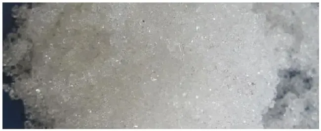氮钾复合肥有哪些 | 三农问答