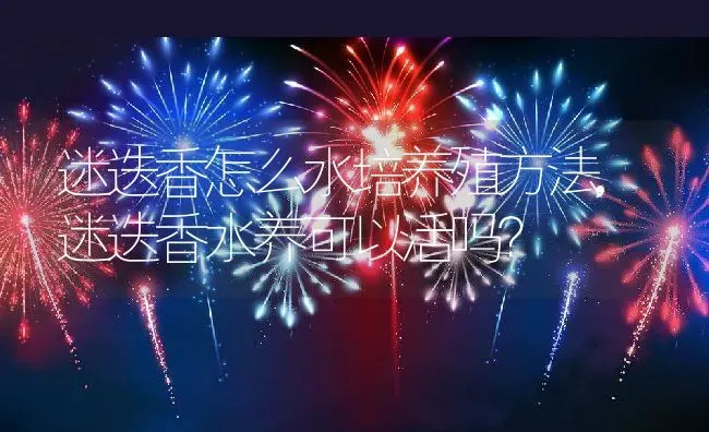 迷迭香怎么水培养殖方法,迷迭香水养可以活吗？ | 养殖常见问题