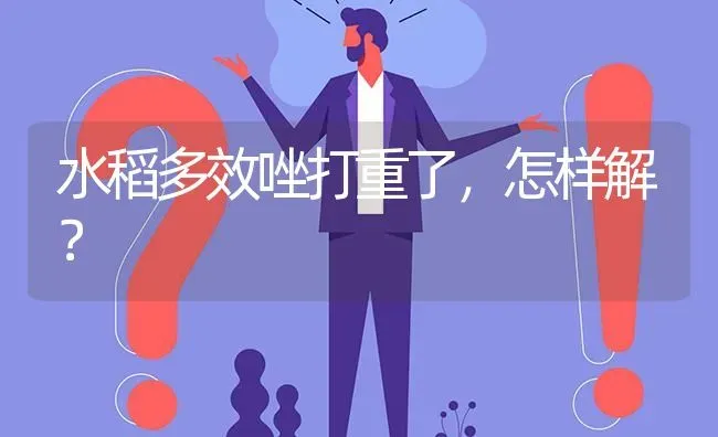 水稻多效唑打重了,怎样解? | 养殖问题解答