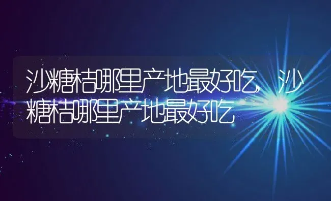 沙糖桔哪里产地最好吃,沙糖桔哪里产地最好吃 | 养殖常见问题