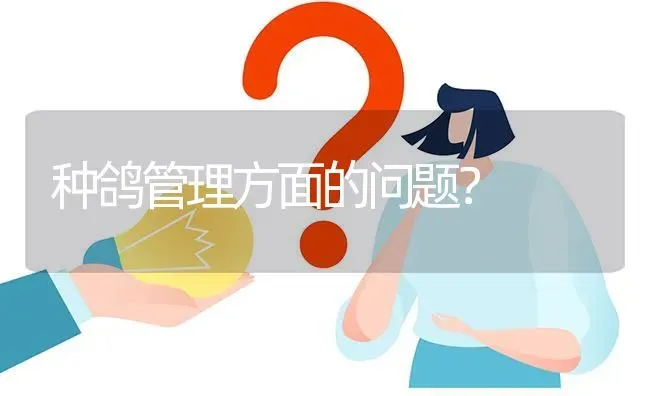 种鸽管理方面的问题? | 养殖问题解答