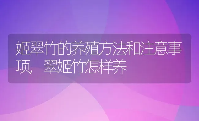 姬翠竹的养殖方法和注意事项,翠姬竹怎样养 | 养殖常见问题