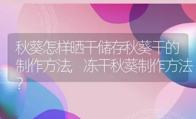 秋葵怎样晒干储存秋葵干的制作方法,冻干秋葵制作方法？ | 养殖常见问题