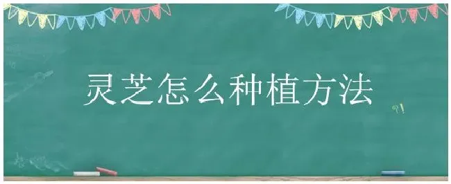 灵芝怎么种植方法 | 农业答疑