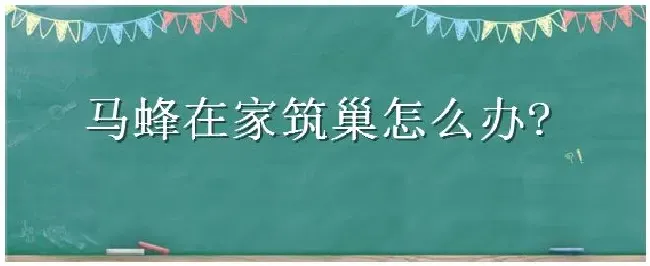 马蜂在家筑巢怎么办 | 三农答疑