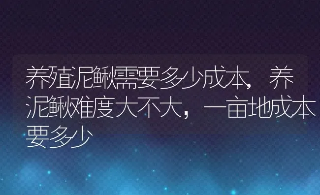 养殖泥鳅需要多少成本,养泥鳅难度大不大，一亩地成本要多少 | 养殖常见问题